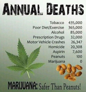 marijuana-peanuts-annual-deaths